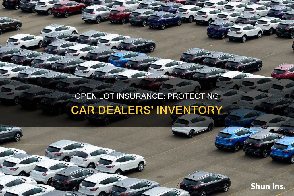 what is dealer open lot insurance