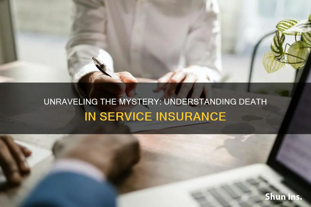 what is death in service insurance