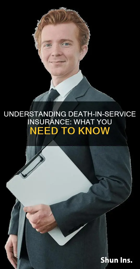 what is death in service insurance
