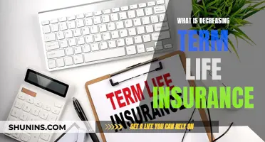 Term Life Insurance: Decreasing Cover, Explained