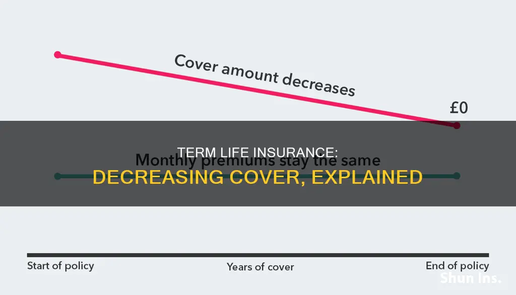 what is decreasing term life insurance