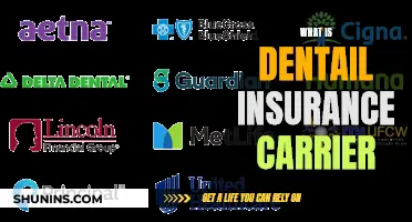 Dental Insurance Carrier: What You Need to Know