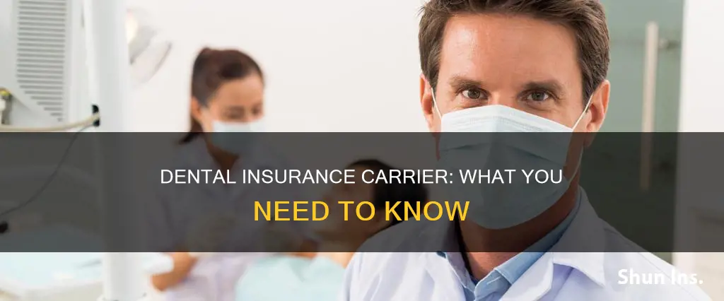 what is dentail insurance carrier