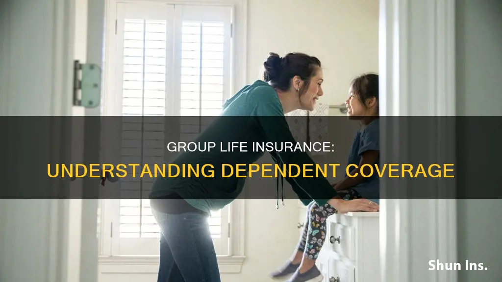 what is dependent group life insurance