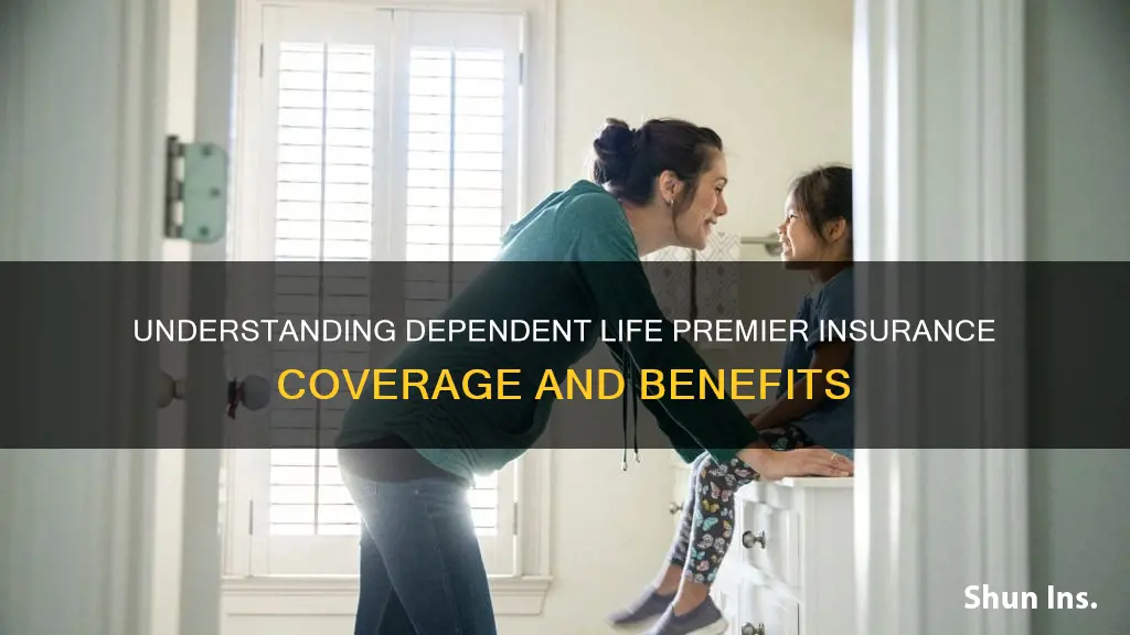 what is dependent life premier insurance