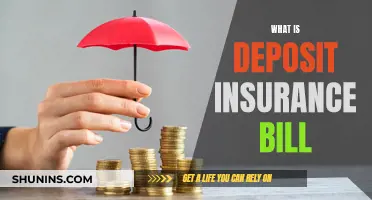 The Safeguarding of Savings: Understanding the Deposit Insurance Bill