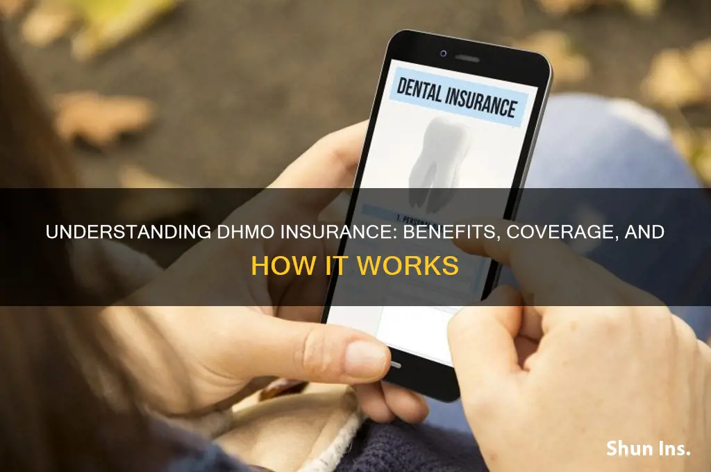 what is dhmo insurance