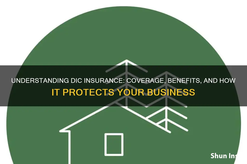 what is dic insurance
