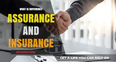 Assurance and Insurance: What's the Real Difference?