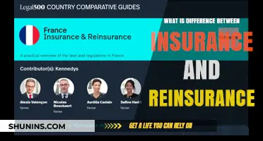 Understanding Insurance and Reinsurance: Key Differences Explained