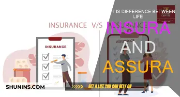 Life Insurance vs Assurance: What's the Real Difference?