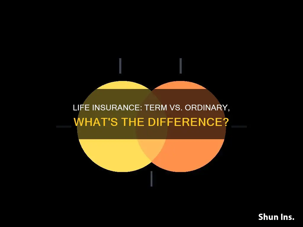 what is difference between ordinary life insurance and term life