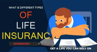 Life Insurance: Understanding the Different Types and Their Benefits