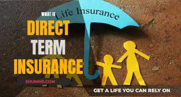 Understanding Direct Term Insurance: Unraveling the Basics of This Pure Protection Plan