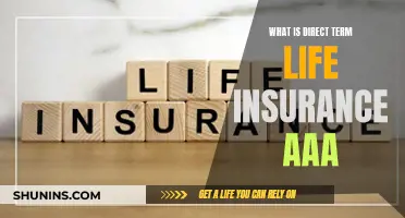 Life Insurance Simplified: Direct Term AAA Explained