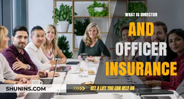 Understanding Director and Officer Insurance: Essential Protection for Business Leaders