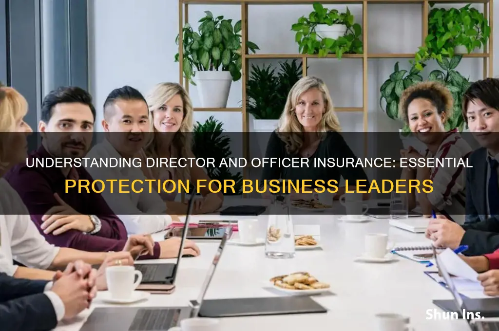 what is director and officer insurance