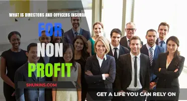 Understanding Directors and Officers Insurance for Non-Profit Organizations