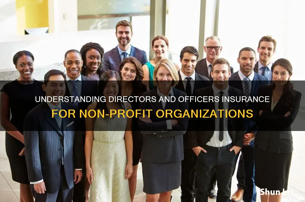what is directors and officers insurance for non profit
