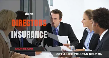 Understanding Directors Insurance: Essential Coverage for Business Leaders