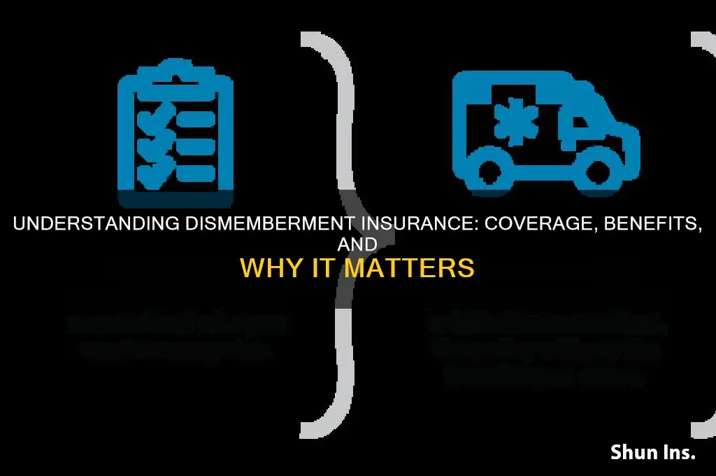 what is dismemberment insurance