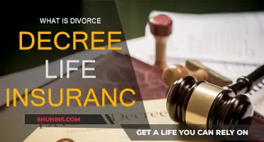 Understanding Divorce Decree Life Insurance Basics