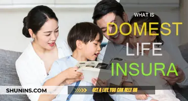 Domestic Life Insurance: What You Need to Know