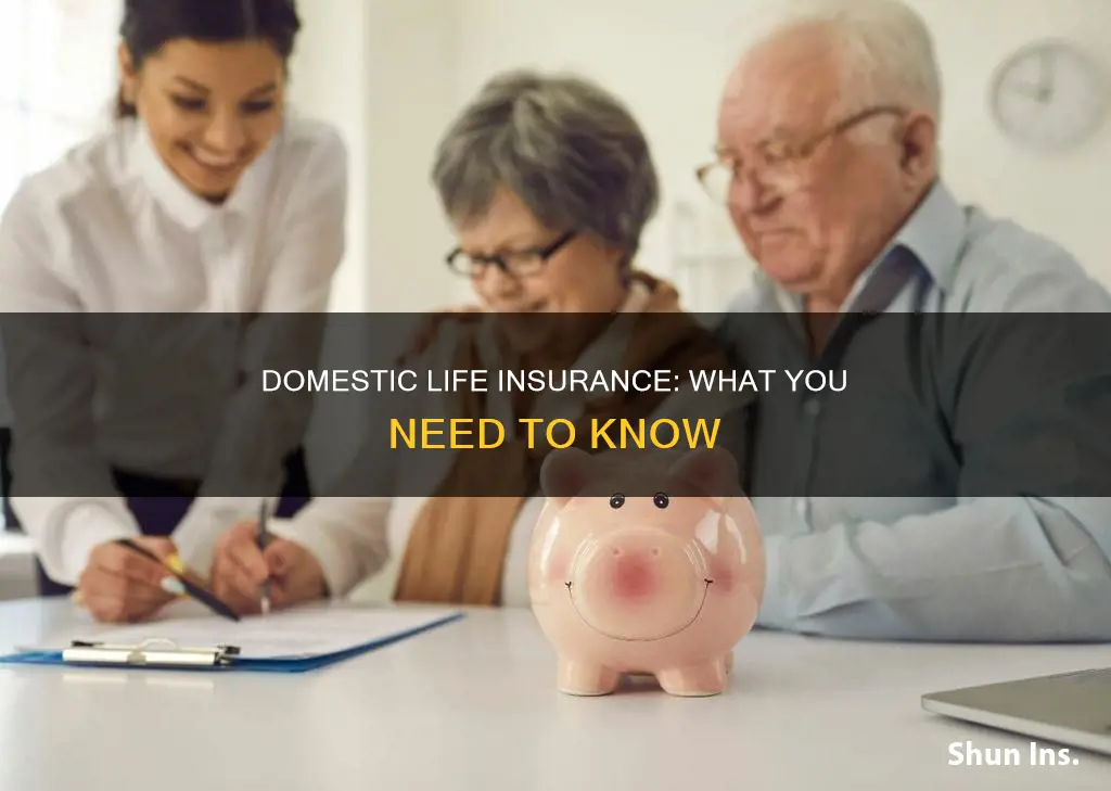 what is domestic life insurance