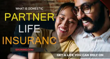 Domestic Partner Life Insurance: What You Need to Know