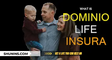 Life Insurance Simplified: Dominion's Offerings and Benefits