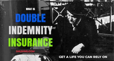 Understanding Double Indemnity Insurance: Benefits, Costs, and Coverage Explained