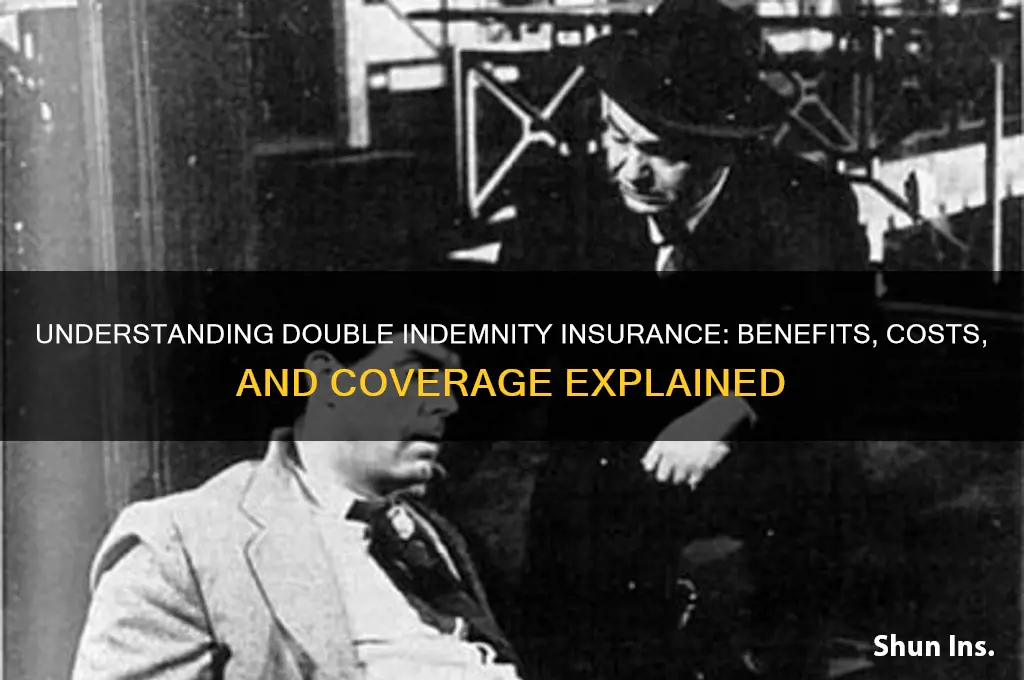what is double indemnity insurance