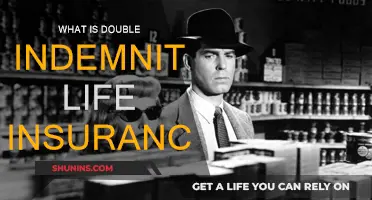 Double Indemnity Life Insurance: What You Need to Know