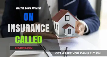 Understanding Down Payments: Insurance's Little-Known Cost