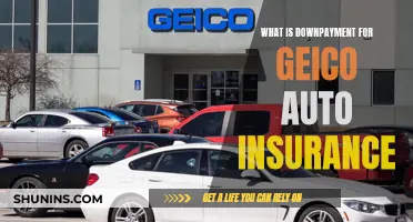 Understanding Geico Auto Insurance Down Payments