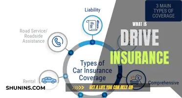 Understanding Drive Insurance: Protecting Your Vehicle's Journey