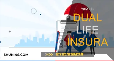 Dual Life Insurance: Two Policies, One Smart Choice