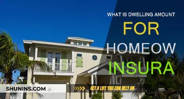 Understanding Your Homeowners Insurance: What's a Dwelling Amount?