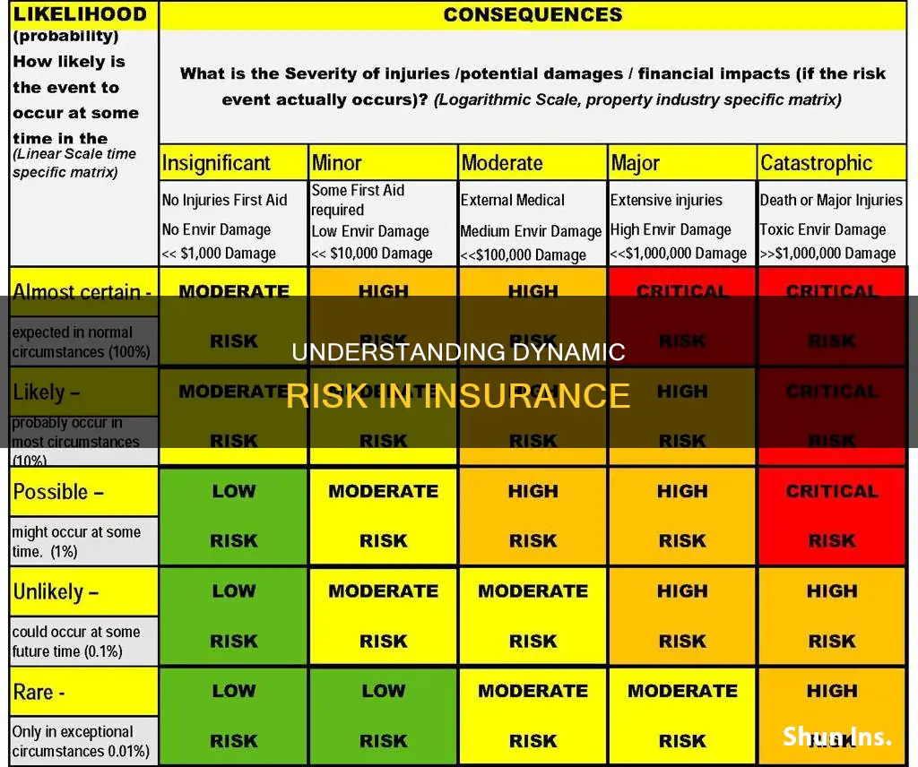 what is dynamic risk in insurance