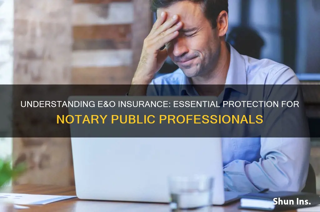what is e&o insurance for notary