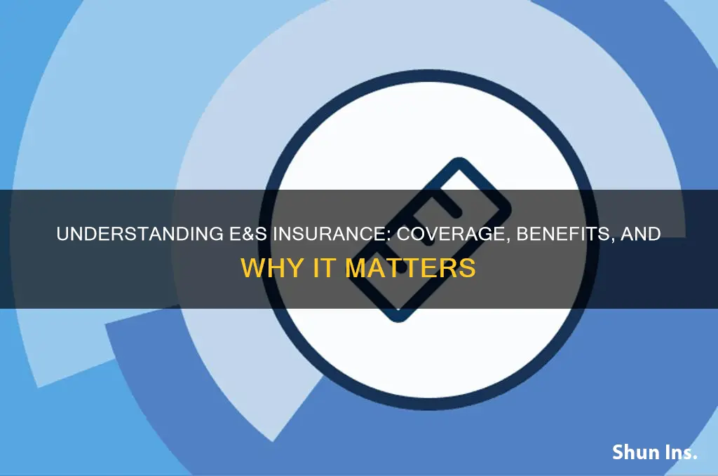 what is e and s insurance