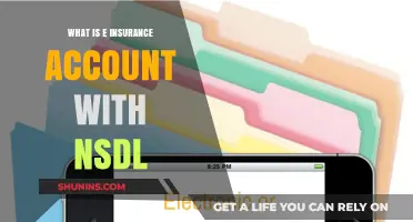 Understanding Your e-Insurance Account with NSDL