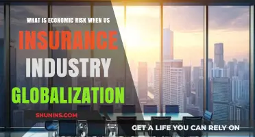 Economic Risks of US Insurance Industry Globalization