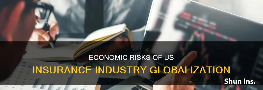 what is economic risk when us insurance industry globalization