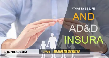 Understanding EE Life and AD&D Insurance Benefits