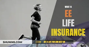 Explore EE Life Insurance: What You Need to Know