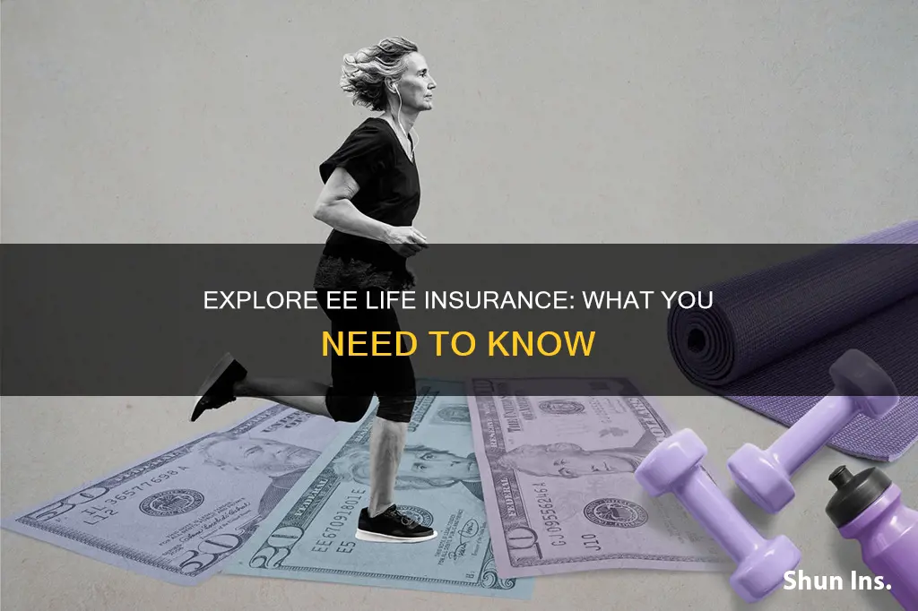 what is ee life insurance