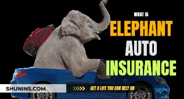 Elephant Auto Insurance: What You Need to Know