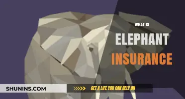 Understanding Elephant Insurance: Coverage, Benefits, and Why It Matters