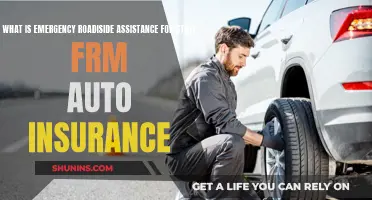 Roadside Emergencies: State Farm Auto Insurance to the Rescue